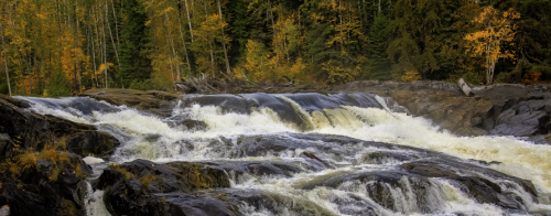 A photo of the rapids along the river with autumn colours in the forest