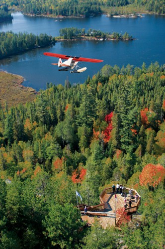 Plane flying over forest to land on the lake in the background