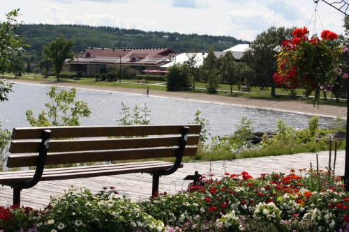 Scenic view of the park bench in front of the lake, surrounded by flowers